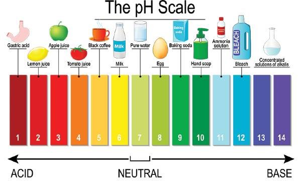 What pH means for your soil